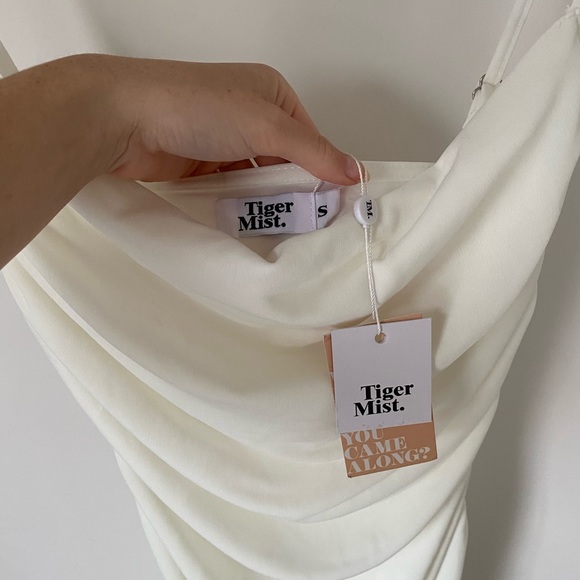 Tiger Mist Dress - Picture 1 of 4